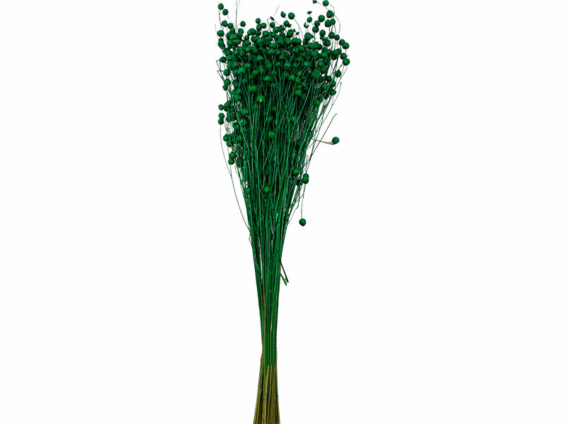 Yeşil Keten Otu Kuru Çiçek Demeti - Diğer